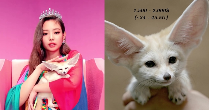 Bóc giá trang phục của Black Pink trong MV trở lại mới nhất