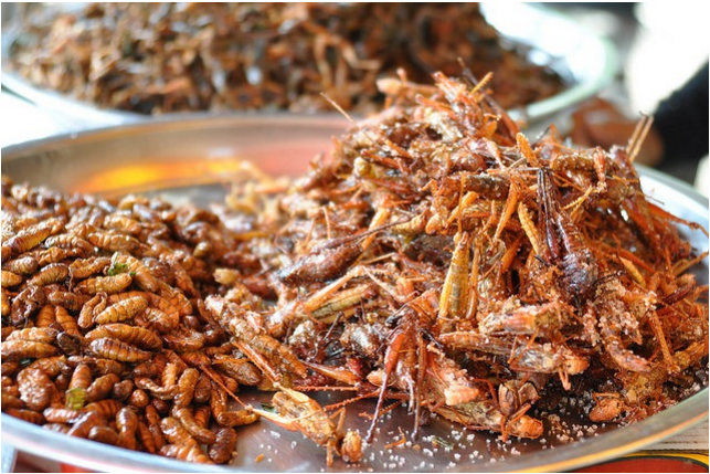Những món ăn siêu kinh dị không phải ai cũng dám thử chỉ có ở Thái Lan