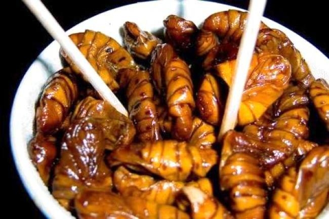 Những món ăn kinh dị của Nhật Bản mà chưa chắc bạn dám thử