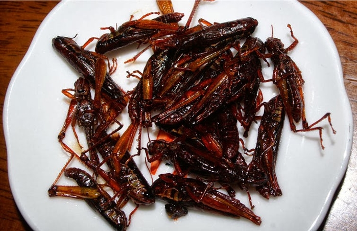 Những món ăn kinh dị của Nhật Bản mà chưa chắc bạn dám thử