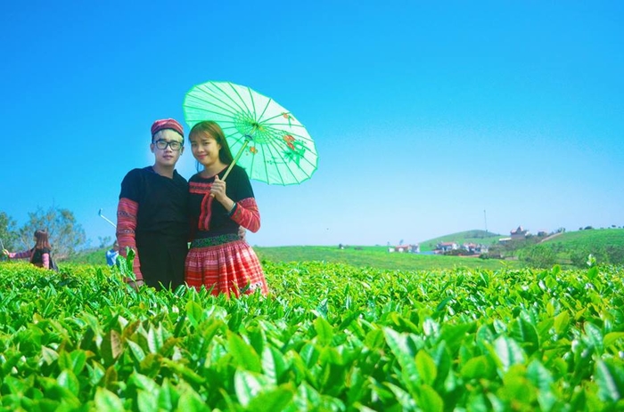 Kinh nghiệm đi Mộc Châu 2N1Đ chỉ 1 triệu đồng