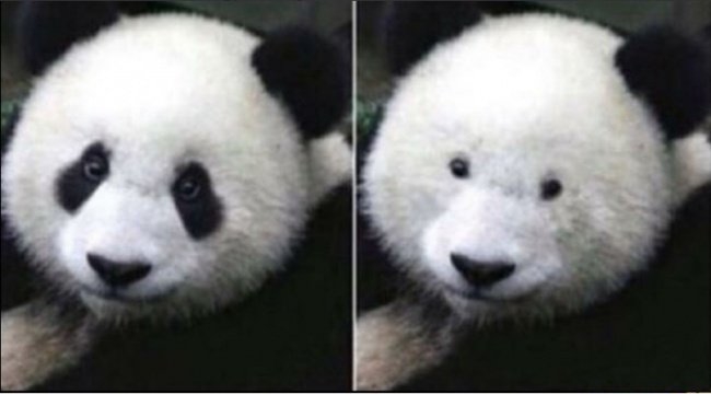 Nỗi khổ chỉ những người cận thị mới thấu hiểu