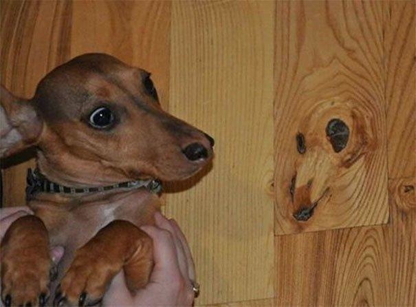 Nếu thấy gương mặt ẩn giấu, có thể bạn đã mắc hội chứng Pareidolia
