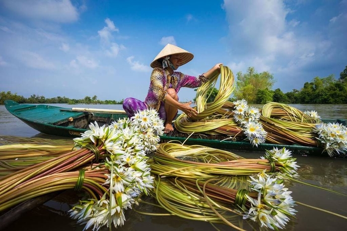 Những bức ảnh làng quê Việt Nam đẹp lung linh trên tạp chí