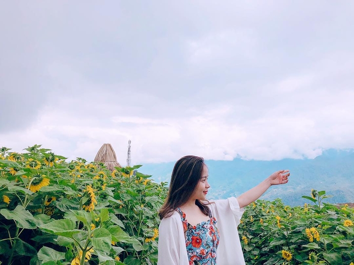 Những cánh đồng hoa hot nhất đang làm xôn xao cộng đồng mạng