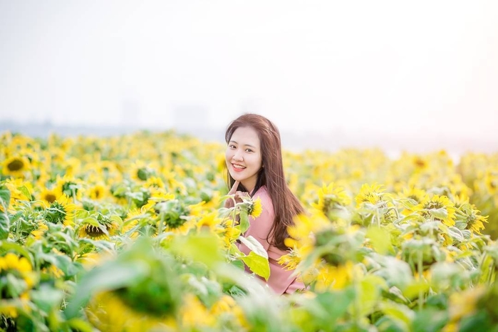 Những cánh đồng hoa hot nhất đang làm xôn xao cộng đồng mạng