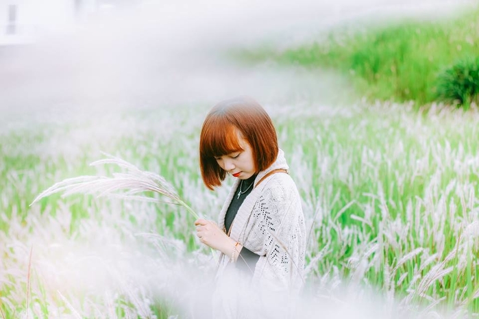 Những cánh đồng hoa hot nhất đang làm xôn xao cộng đồng mạng