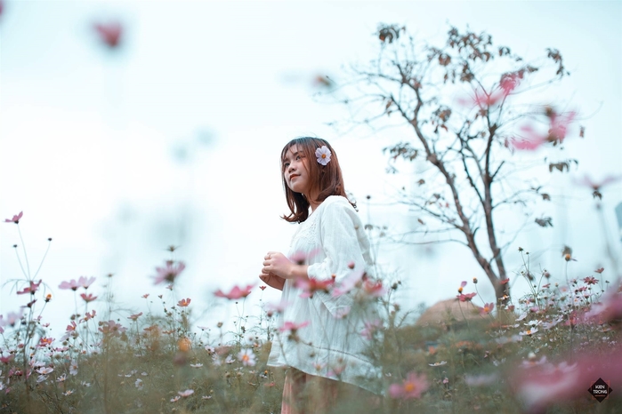Những cánh đồng hoa hot nhất đang làm xôn xao cộng đồng mạng