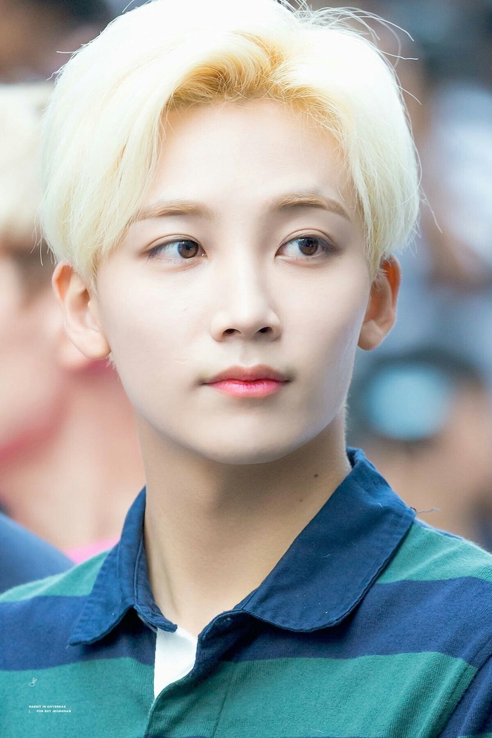 Những đôi “mắt nai” của idol Kpop được người Hàn ao ước