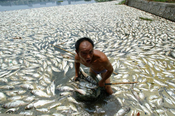 Những hình ảnh nói lên mối quan hệ giữa con người và thiên nhiên