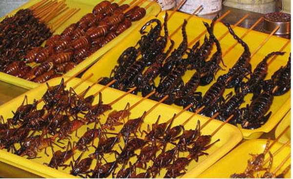 Những món ăn siêu kinh dị không phải ai cũng dám thử chỉ có ở Thái Lan