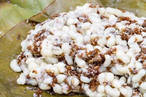 Những món ăn siêu kinh dị không phải ai cũng dám thử chỉ có ở Thái Lan