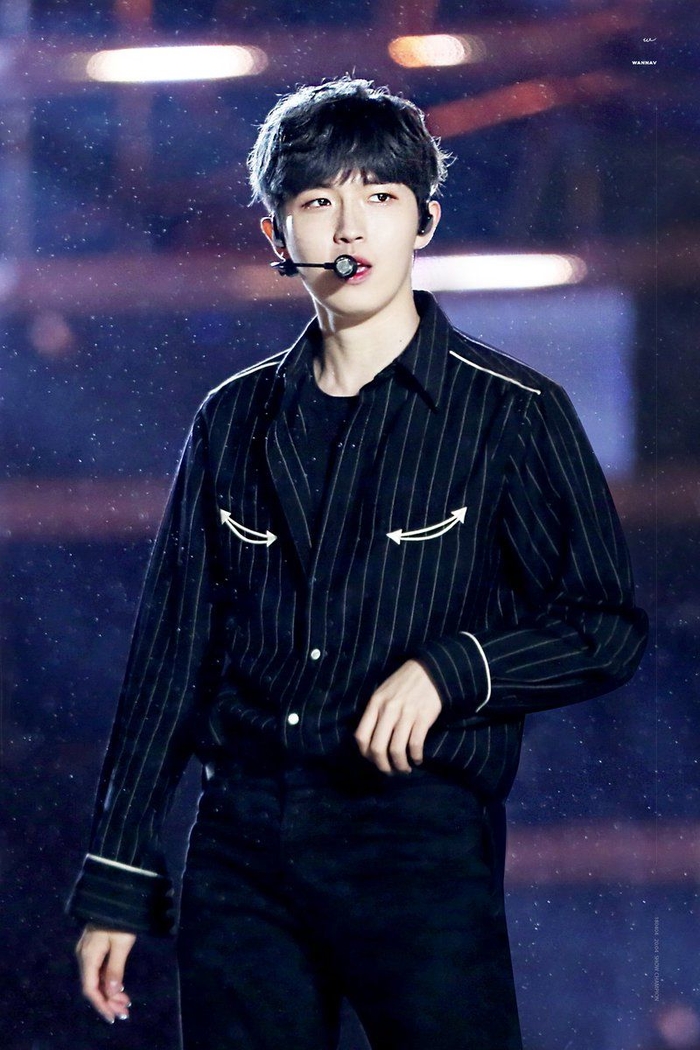 Những thần tượng 96-line là nam châm hút fan của Kpop