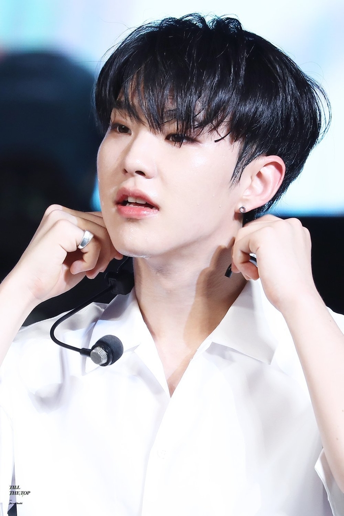 Những thần tượng 96-line là nam châm hút fan của Kpop