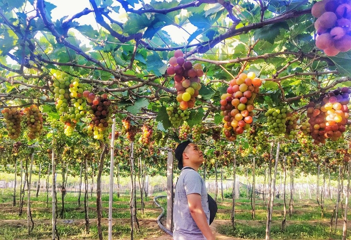 Ninh Thuận, địa điểm thú vị cho một mùa hè sôi động