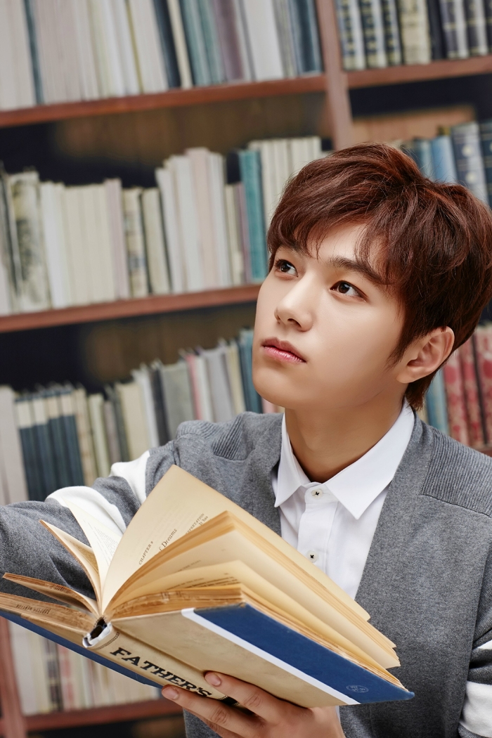Phân loại các kiểu nhan sắc nam thần của thần tượng K-pop