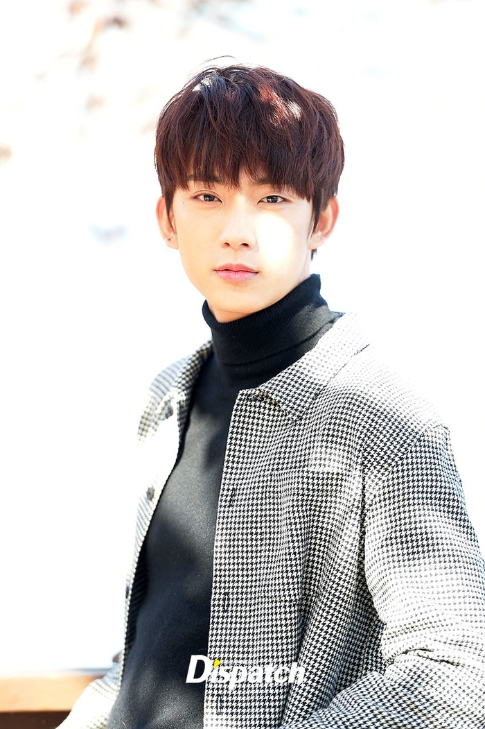 Phân loại các kiểu nhan sắc nam thần của thần tượng K-pop