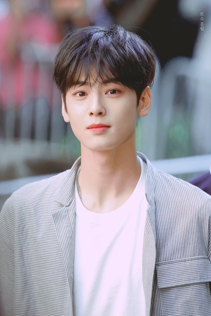 Phân loại các kiểu nhan sắc nam thần của thần tượng K-pop