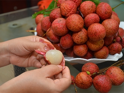 Quy tắc ăn vải tuyệt đối an toàn, không nóng hay ngộ độc
