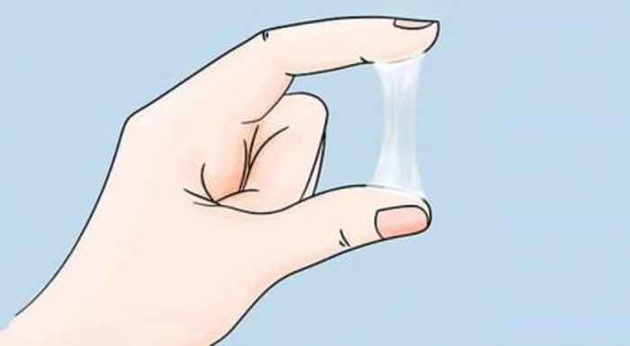 Sự thật thú vị về cô bé mà không phải chị em nào cũng biết