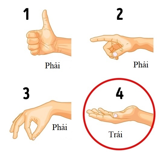 5 câu đố cực hack não kiểm tra IQ của bạn ở cấp độ nào