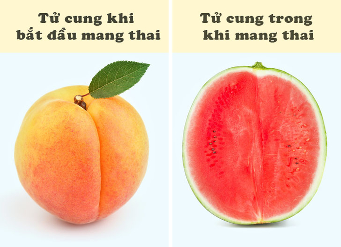 12 sự thật kỳ lạ khi phụ nữ mang thai mà bác sĩ chưa từng tiết lộ
