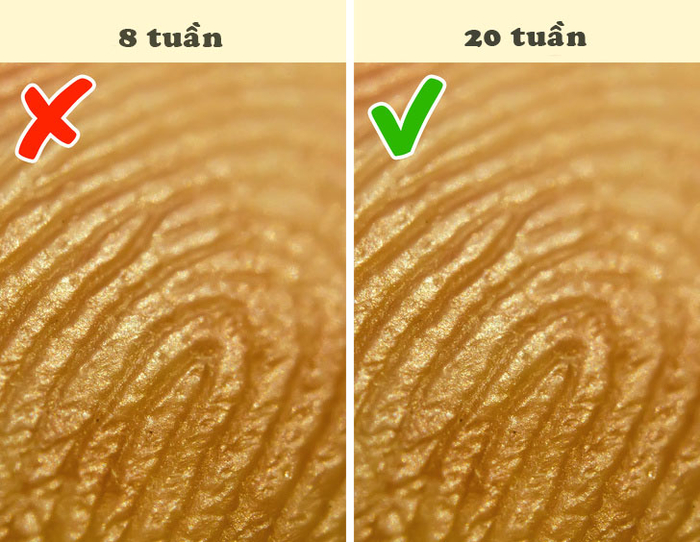 12 sự thật kỳ lạ khi phụ nữ mang thai mà bác sĩ chưa từng tiết lộ