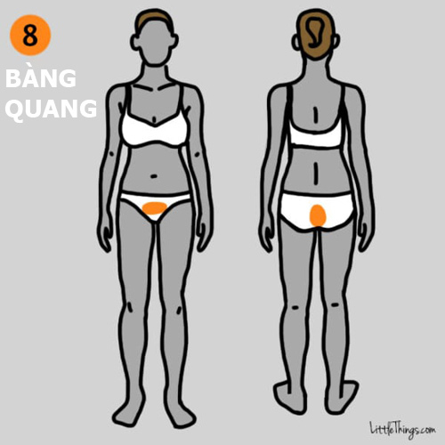 9 vị trí đau trên cơ thể bạn đừng chủ quan vì có thể cực nguy hiểm