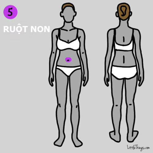 9 vị trí đau trên cơ thể bạn đừng chủ quan vì có thể cực nguy hiểm