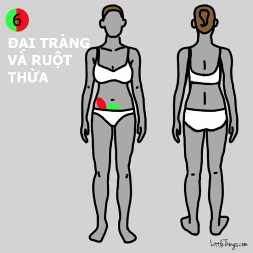 9 vị trí đau trên cơ thể bạn đừng chủ quan vì có thể cực nguy hiểm