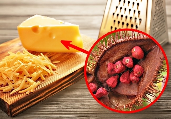 Bạn có thể rất sốc khi biết thành phần của những món ăn quen thuộc này