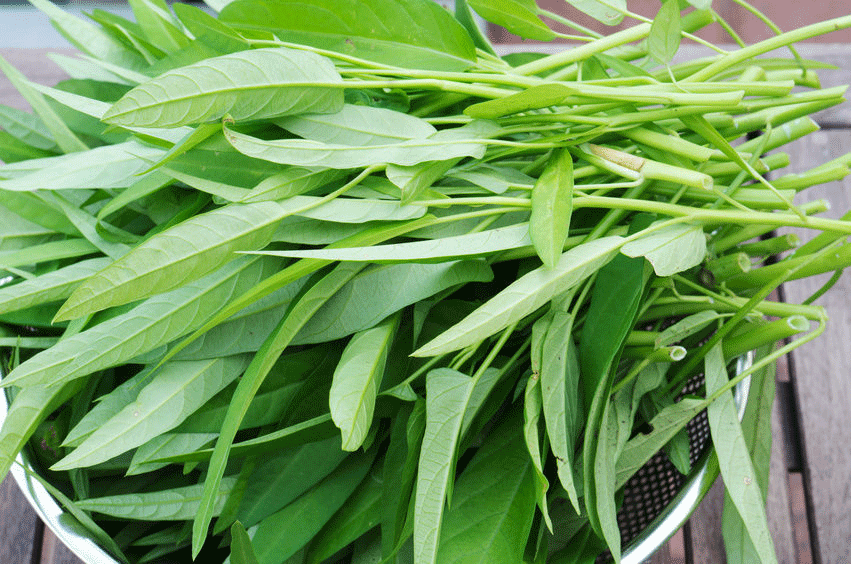 Cách làm 3 món ăn từ rau muống giúp chữa trị bệnh nhiều người mắc phải