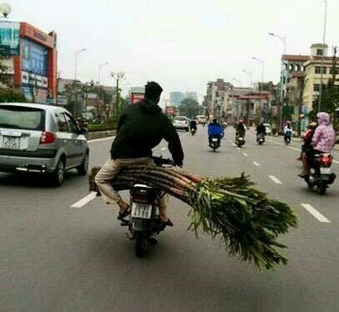 Chết cười với bộ ảnh 1001 cách vận chuyển hàng hóa bá đạo nhất quả đất