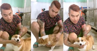 Dan mang ran ran che anh: set do nay bao nhieu vay ban oi