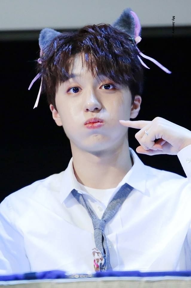 Tuổi trẻ tài cao là những gì fan phát cuồng về hội nam thần Kpop 2000