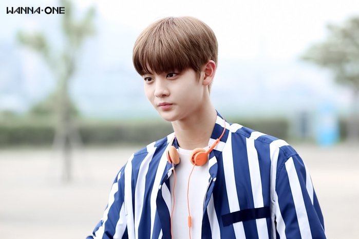 Tuổi trẻ tài cao là những gì fan phát cuồng về hội nam thần Kpop 2000