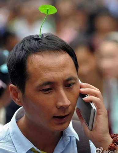 Hết hồn với trào lưu kẹp tóc đính gián, thằn lằn, sâu bọ... gây sốt