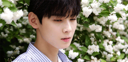 Kiểu nhan sắc được từng công ty giải trí hàng đầu Kpop ưa chuộng