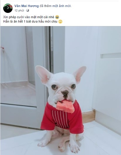 Muon kieu phan ung cua sao Viet khi nguoi yeu cu sap ket hon