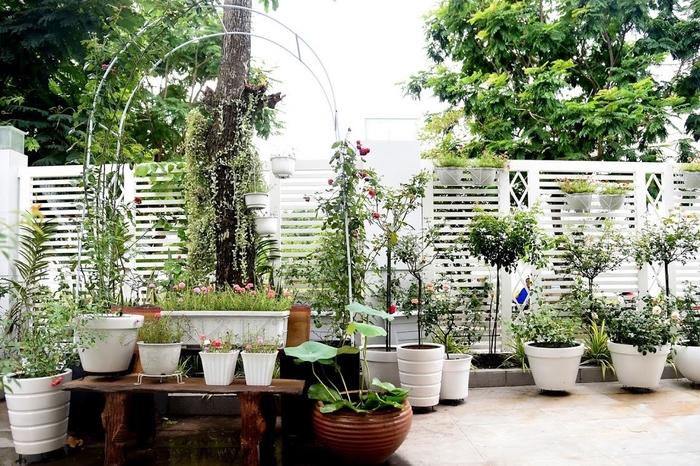Ngắm biệt thự triệu đô xanh ngợp thiên nhiên của chàng MC Quyền Linh
