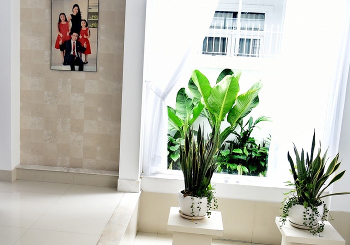 Ngắm biệt thự triệu đô xanh ngợp thiên nhiên của chàng MC Quyền Linh