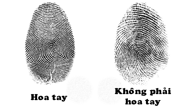 Nhìn số lượng hoa tay đoán ngay được vận mệnh một người là tốt hay xấu