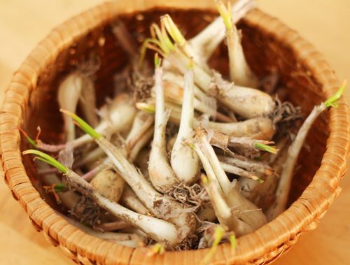 Những mẹo vặt nhỏ mà có võ làm đơn giản hóa cuộc sống của chị em