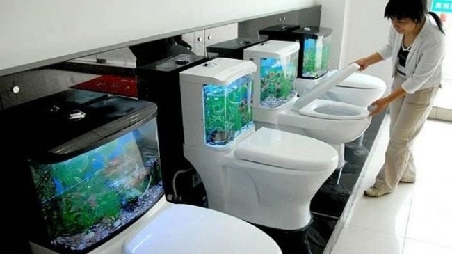 Những phát minh lạ đời của người Nhật khiến ai cũng thán phục