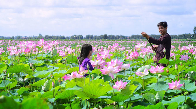 Top 10 địa điểm du lịch đẹp nhất Việt Nam: Bạn đã đi hết chưa?