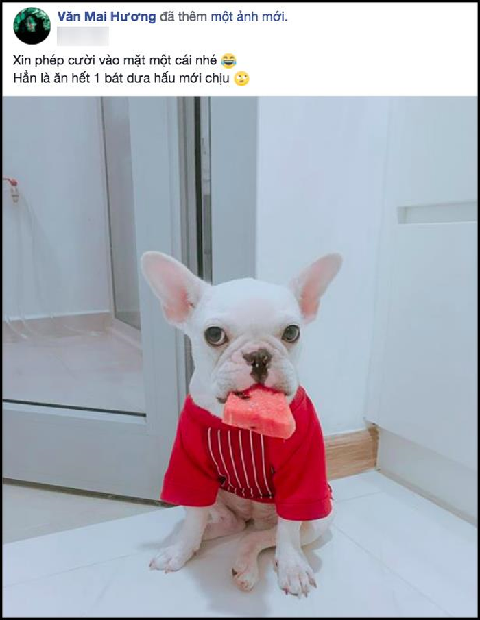 Tình cũ - Tình mới, mối quan hệ lùm xùm của các cặp đôi showbiz Việt