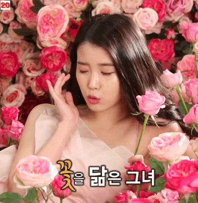 9 idol Hàn được Knetz ưu ái đặt danh hiệu “quốc dân”
