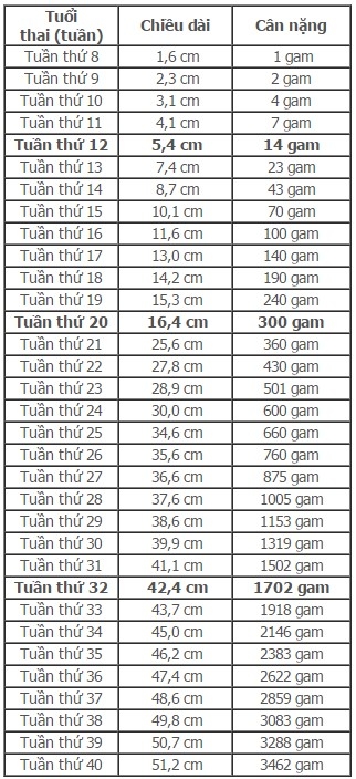Bảng tiêu chuẩn chiều cao và cân nặng thai nhi theo từng tuần tuổi