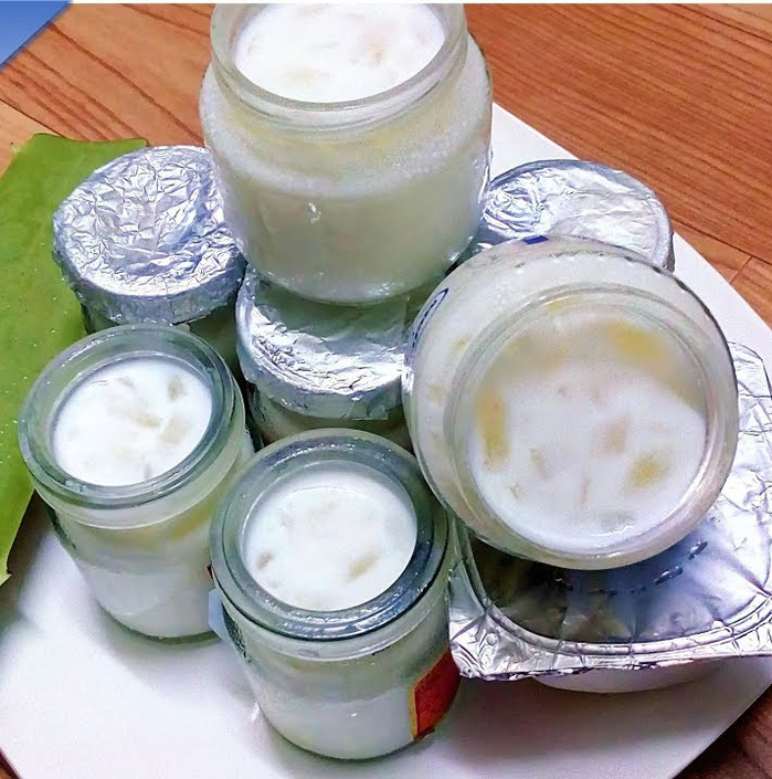 Bí kíp làm sữa chua nha đam siêu đơn giản vừa dẻo vừa cực ngon