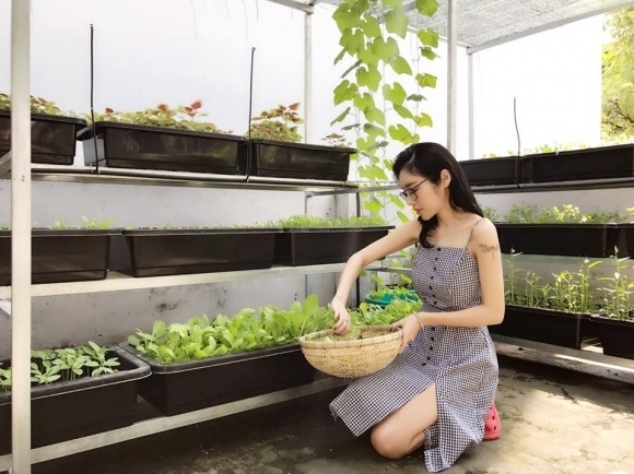Các sao Việt vừa giỏi chạy show vừa chăm sản xuất rau sạch tại nhà